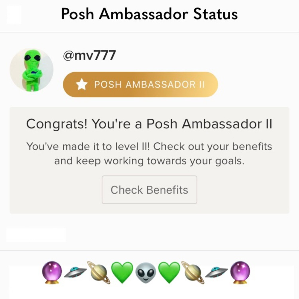 ✴️Ambassador II✴️ - Picture 3 of 9